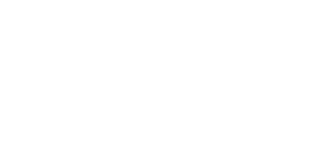 Partner 24Ore